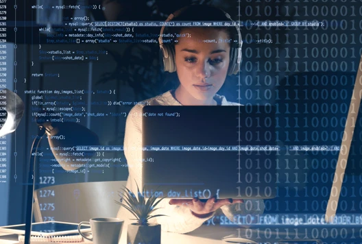 developer wordpress webquad